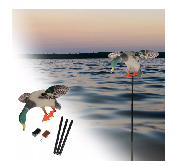 Duck Deckoy for Hunting, Mallard Drake