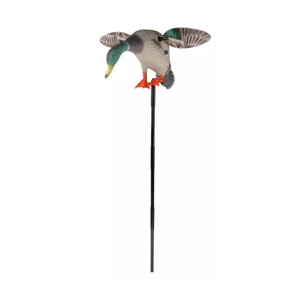 Duck Deckoy for Hunting, Mallard Drake